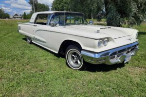 Ford Thunderbird Coupe –60