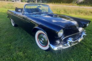 Ford Thunderbird Convertible –55