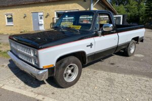 Chevrolet C10 Truck –82